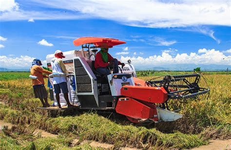 Rice Harvester Phillipines .